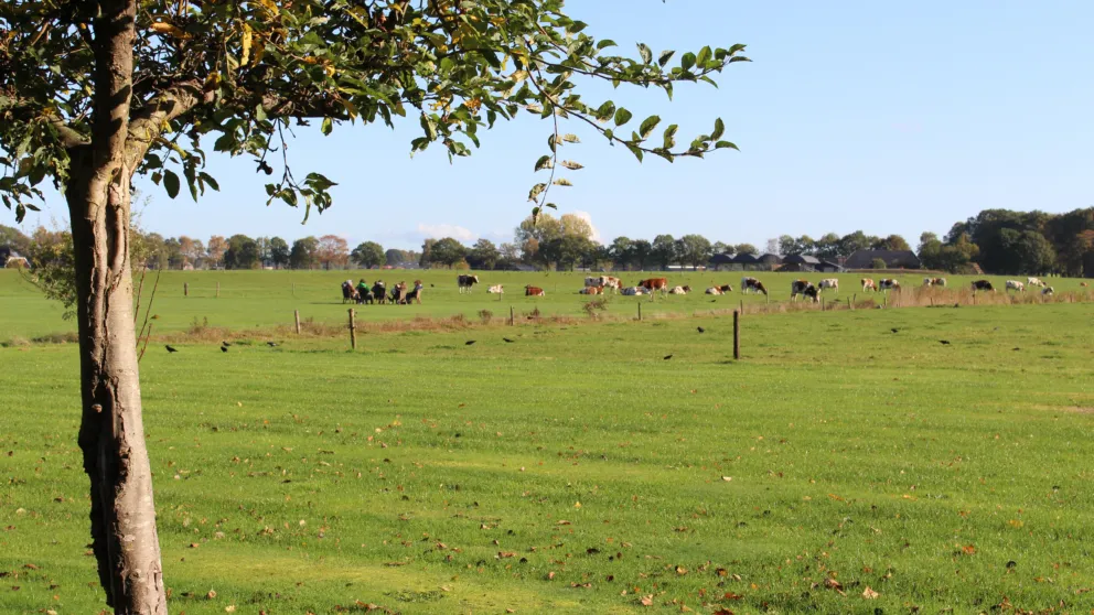 Landerijen Huis in t Veld