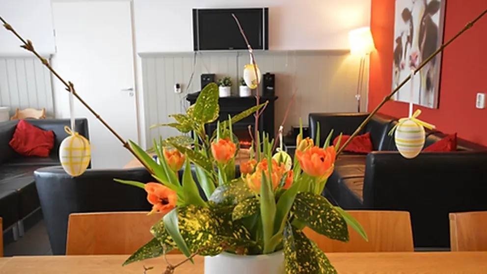 Groepsaccommodatie 2 boemen