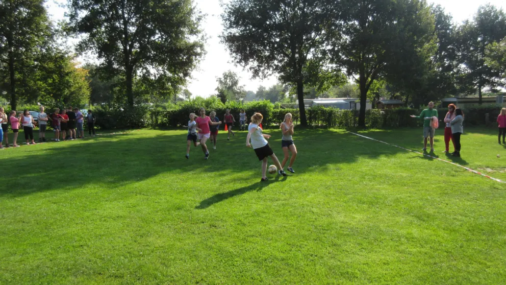 Sport