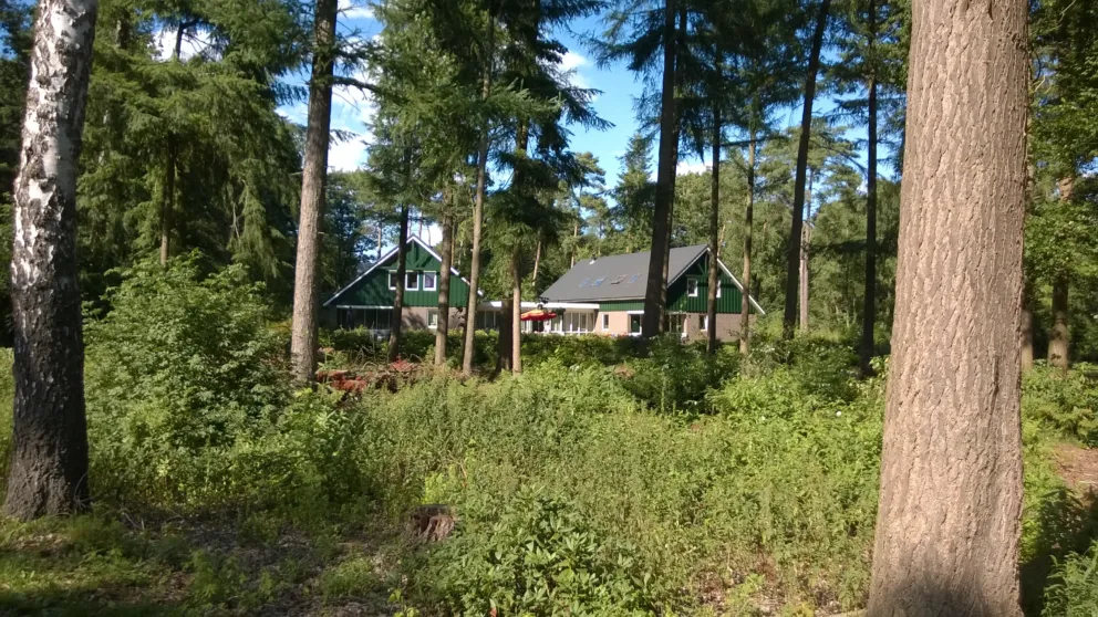 WP 20150721 001