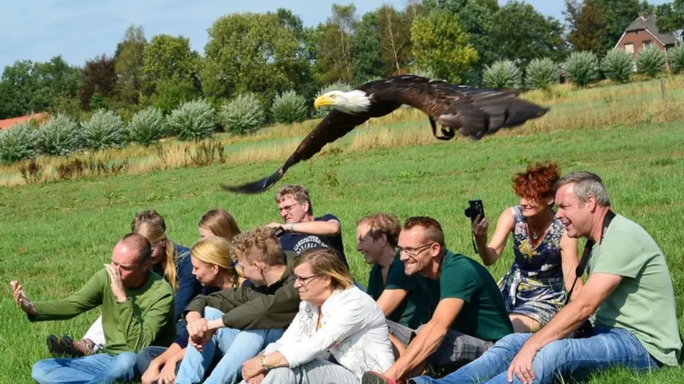 Roofvogelclinic