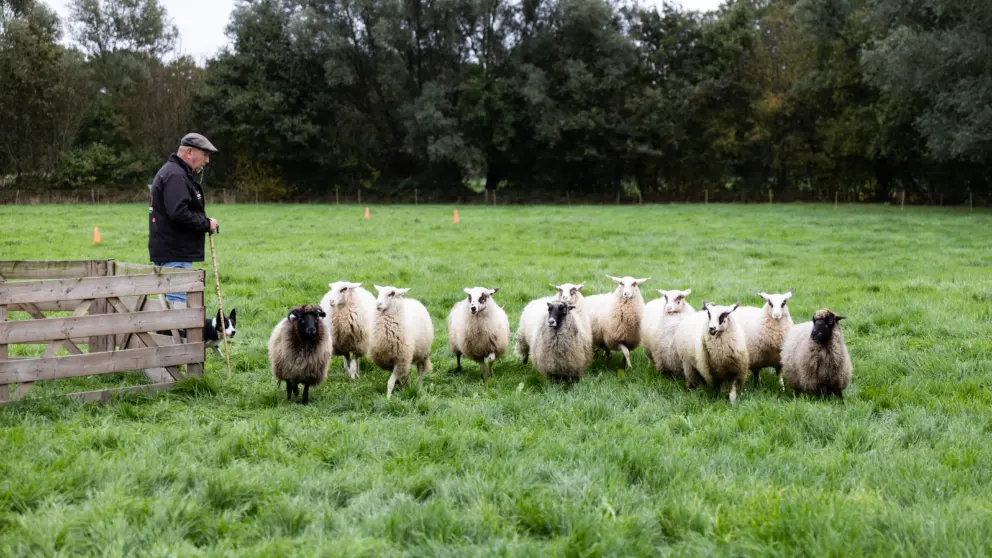 Maathoeve Opendag131025 25