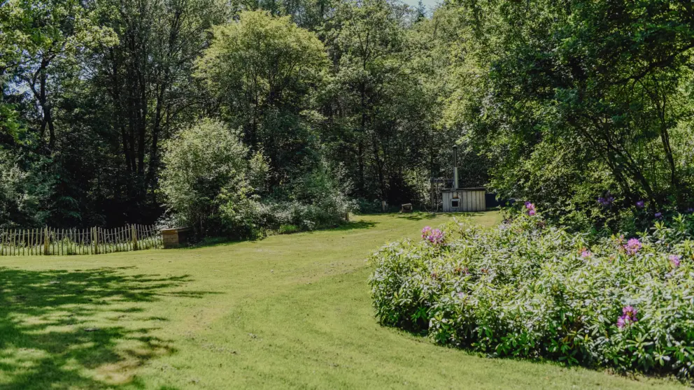 Vakantiehuis Eikenhorst tuin