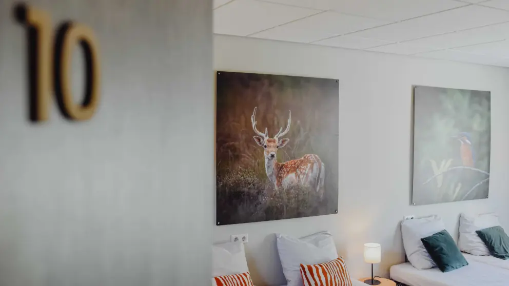 Vakantiehuis Eikenhorst 10 luxe kamers